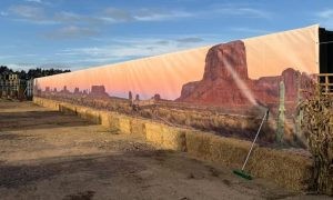 Backdrop print